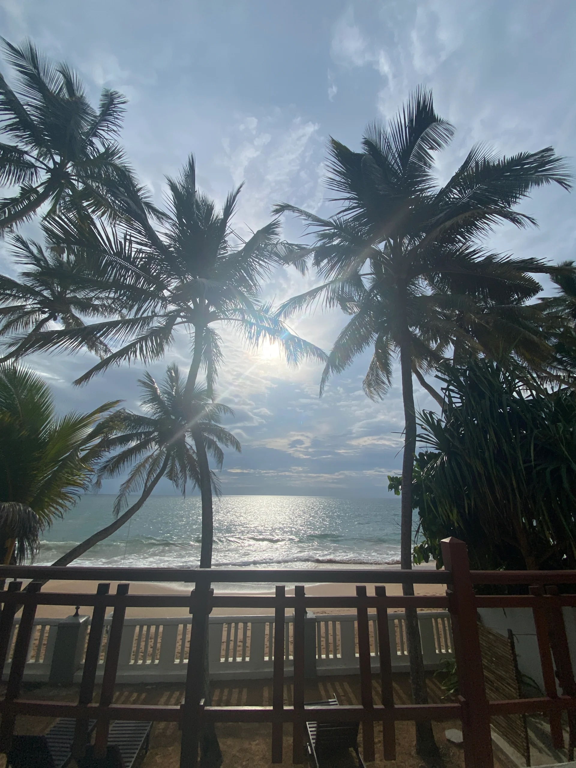 Guest photo by Andrea Kassl