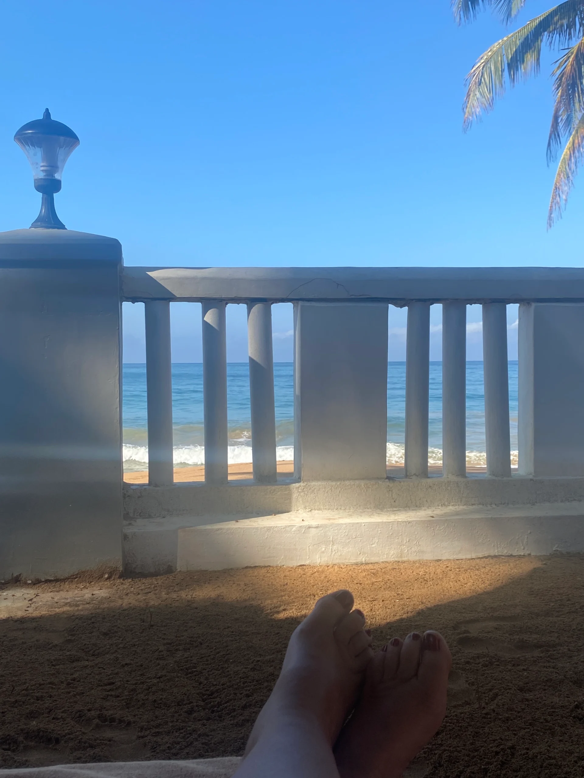 Guest photo by Andrea Kassl